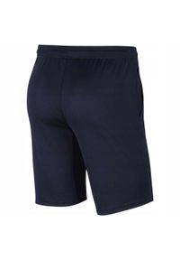 Nike - Męskie Spodenki Park 20 DriFIT. Kolor: niebieski. Sport: turystyka piesza