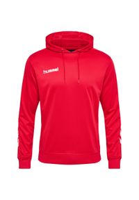 Bluza do piłki ręcznej męska Hummel hml PROMO Poly z kapturem. Typ kołnierza: kaptur. Kolor: czerwony, różowy, wielokolorowy. Sport: piłka ręczna