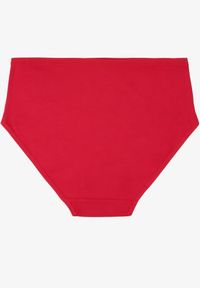 Renee - Bordowe Bawełniane Majtki Figi w Minimalistycznym Stylu Idira. Kolekcja: plus size. Kolor: czerwony. Materiał: bawełna