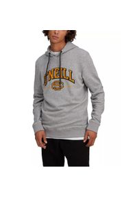 O'Neill - Bluza turystyczna męska LM Surf State Hoody. Kolor: szary