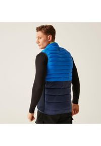 Regatta - Leedre Hybrid Męski kamizelka na wędrówki. Kolor: niebieski, zielony, wielokolorowy. Sport: turystyka piesza #2