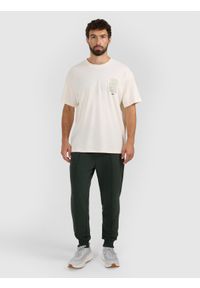 4f - 4F Spodnie dresowe joggery męskie - zielone XXL. Kolor: zielony. Materiał: dresówka. Sport: turystyka piesza, fitness #1