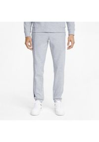 Spodnie Dresowe Sportowe Męskie Puma Rad/Cal Dk. Kolor: szary. Materiał: dresówka. Sport: fitness