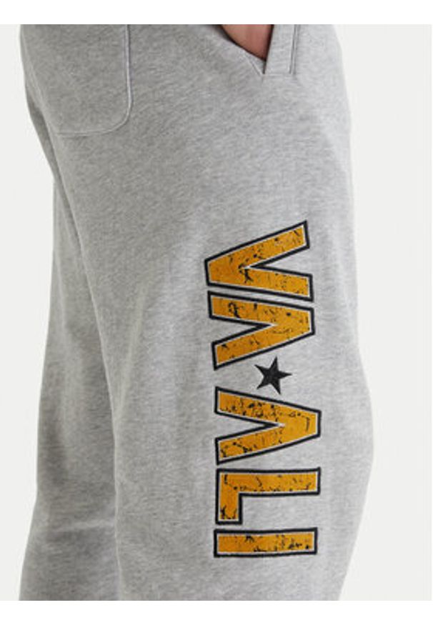 RVCA Spodnie dresowe Va X Ali 23A123500 Szary Relaxed Fit. Kolor: szary. Materiał: bawełna