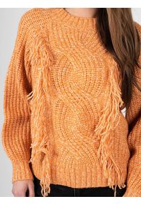 Silvian Heach Sweter | PGA22007MA | Kobieta | Pomarańczowy. Kolor: pomarańczowy. Materiał: wełna, poliester, elastan, akryl. Wzór: ze splotem #3