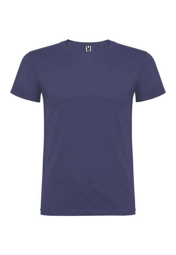 ROLY - Męska Koszulka Z Krótkim Rękawem Beagle. Kolor: szary, niebieski, wielokolorowy. Długość rękawa: krótki rękaw. Długość: krótkie. Sport: turystyka piesza