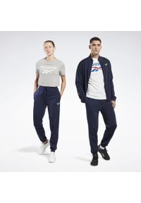 Spodnie dla dorosłych Reebok RI Vector Knit Niebieski. Kolor: niebieski. Sport: fitness