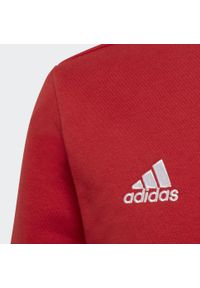 Adidas - Entrada 22 Sweat Top. Kolor: czerwony. Materiał: materiał. Sport: piłka nożna