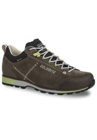 Buty trekkingowe męskie Dolomite Cinquantaquattro Hike Low Evo GTX. Kolor: brązowy, zielony, szary, wielokolorowy. Sport: turystyka piesza