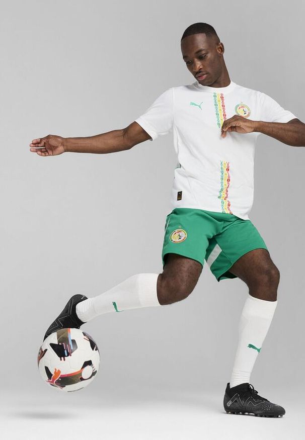 Puma - Męskie szorty Senegal 2025 PUMA Sport Green White. Kolor: biały, wielokolorowy, zielony. Wzór: aplikacja