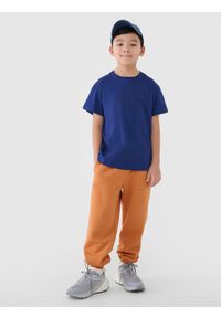 4f - 4F T-shirt oversize z nadrukiem chłopięcy - niebieski 134 (8-9 lat). Okazja: na co dzień. Kolor: niebieski. Materiał: dzianina, bawełna, jersey. Długość rękawa: krótki rękaw. Długość: krótkie. Wzór: nadruk. Sezon: lato. Styl: klasyczny, sportowy, casual