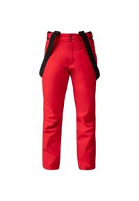 Spodnie narciarskie Rossignol Ski Pant czerwone. Kolor: czerwony. Sezon: zima. Sport: narciarstwo
