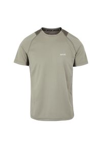 Regatta - T-shirt Męski Virda IV. Kolor: wielokolorowy, beżowy, zielony