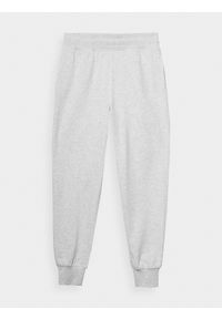 4f - 4F Spodnie dresowe joggery damskie - szare XXL. Kolor: szary. Materiał: dresówka. Wzór: gładki, ze splotem