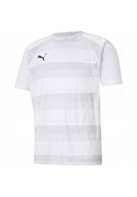 Puma - Męska Koszulka TeamVision. Kolor: biały. Sport: turystyka piesza