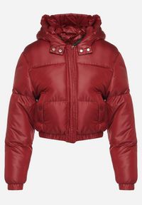 Born2be - Bordowa Kurtka Pikowana o Krótkim Fasonie z Kapturem Tinthella. Okazja: na co dzień, na spacer. Typ kołnierza: kaptur. Kolor: czerwony. Materiał: jeans. Długość: krótkie. Wzór: aplikacja. Styl: casual, elegancki #3