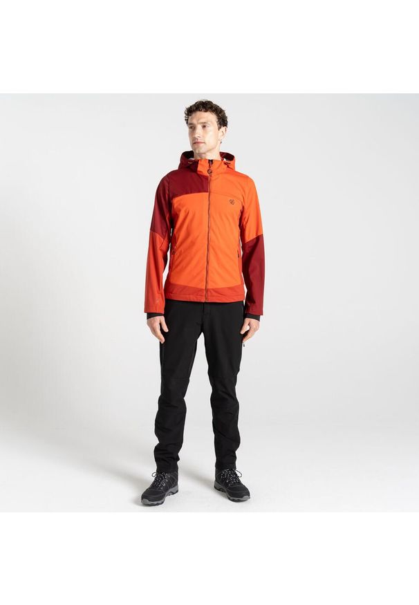 DARE 2B - Softshell turystyczny męski Mountaineer. Kolor: pomarańczowy. Materiał: softshell. Sport: turystyka piesza