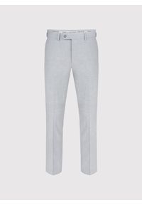 Pako Lorente - Jasnoszare spodnie ganiturowe. Kolor: szary. Materiał: wiskoza, poliester, elastan. Wzór: gładki. Sezon: wiosna, lato #4