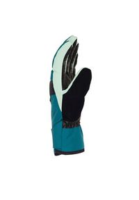 DC Shoes Rękawice narciarskie Franchise ADYHN03030 Zielony. Kolor: zielony. Materiał: poliester. Sport: narciarstwo #3