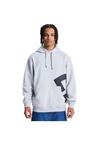 DC Shoes - Bluza z kapturem dla Mężczyzn LANAI Szary. Typ kołnierza: kaptur. Kolor: szary. Materiał: tkanina, poliester, bawełna. Sport: skateboard #1