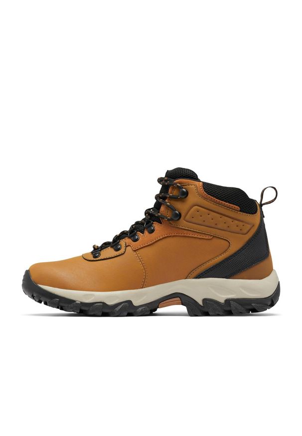 columbia - Columbia Buty Newton Ridge Plus Ii 1594731291. Kolor: czarny, brązowy, wielokolorowy