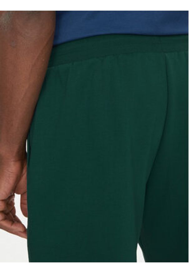 The North Face Szorty sportowe Nse Box NF0A8C1J Zielony Regular Fit. Kolor: zielony. Materiał: bawełna. Styl: sportowy