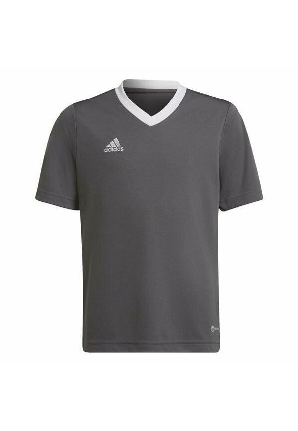 Adidas - Koszulka piłkarska dla dzieci adidas Entrada 22 Jersey. Kolor: szary. Materiał: jersey. Sport: piłka nożna