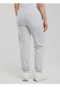 Big-Star - Spodnie damskie dresowe szare Yeva 901. Kolor: szary. Materiał: dresówka #10