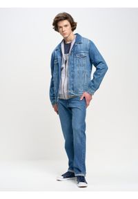 Big-Star - Spodnie jeans męskie Trent 114. Okazja: na co dzień. Kolor: niebieski. Wzór: haft. Sezon: wiosna, jesień, lato. Styl: casual, klasyczny #5