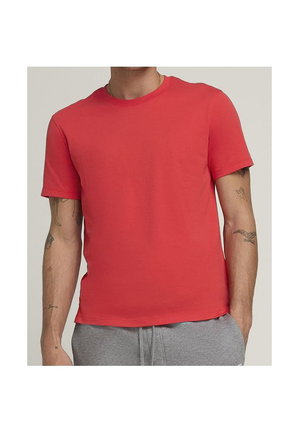 Koszulka tenisowa męska Wilson Team Graphic. Kolor: czerwony. Sport: tenis