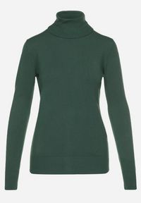 Born2be - Zielony Golf Sweter z Wiskozą i Kaszmirem Zailaya. Okazja: na co dzień. Typ kołnierza: golf. Kolor: zielony. Materiał: wiskoza, kaszmir. Styl: casual #3