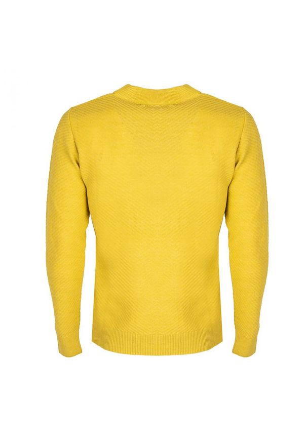Xagon Man Sweter "C-Neck" | A21081 J1 1215 | Mężczyzna | Żółty. Okazja: na co dzień. Typ kołnierza: golf. Kolor: żółty. Materiał: wiskoza, akryl, wełna. Styl: casual