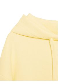 Sprandi Bluza SS21-BLD007 Żółty Regular Fit. Kolor: żółty #4