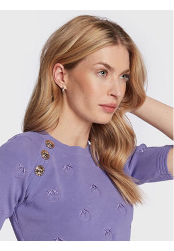 Pinko Sweter Gijon 100136 A0PV Fioletowy Regular Fit. Kolor: fioletowy. Materiał: syntetyk