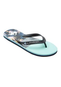 Japonki plażowe męskie Quiksilver Molokai Panel. Okazja: na plażę. Kolor: niebieski #1