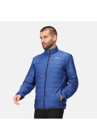 Regatta - Męska kurtka turystyczna przejściowa pikowana Hillpack. Kolor: niebieski. Materiał: poliamid. Sport: turystyka piesza #1