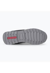 Buty męskie Napapijri Virtus. Kolor: szary