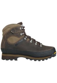 Buty trekkingowe męskie Dolomite Tofana GTX. Kolor: brązowy. Sport: turystyka piesza