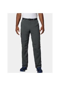 columbia - Spodnie turystyczne męskie Columbia Silver Ridge. Kolor: szary. Sezon: zima. Sport: narciarstwo #1