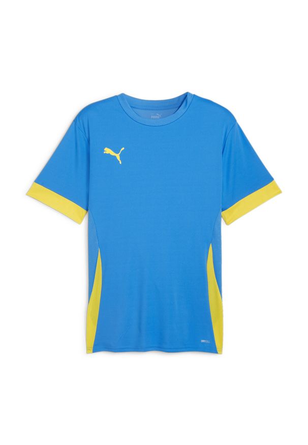 Koszulka Puma TeamGoal. Kolor: niebieski. Sport: piłka nożna