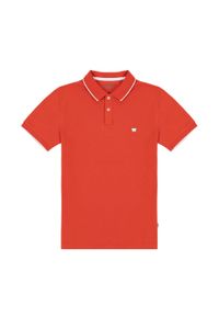 Wrangler - WRANGLER POLO SHIRT MĘSKA KOSZULKA POLO POLÓWKA PAPRIKA W7BHK4R41 112330857. Typ kołnierza: polo #3