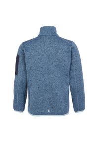 Regatta - Polar dziecięcy Newhill Fleece Jacket. Kolor: niebieski. Materiał: polar. Sezon: zima. Sport: turystyka piesza