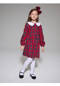 Sinsay - Sukienka w kratę z bawełnianym kołnierzykiem - wielobarwny. Materiał: bawełna #1