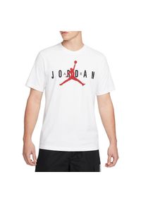 Koszulka sportowa męska Nike Air Jordan Wordmark. Kolor: wielokolorowy. Długość rękawa: krótki rękaw. Długość: krótkie #1