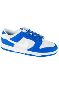 Nike - Buty sportowe Sneakersy męskie, Dunk Low. Kolor: szary. Sport: turystyka piesza