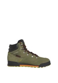 Adidas - Terrex Snowpitch COLD.RDY Hiking Shoes. Kolor: zielony, wielokolorowy, czarny. Model: Adidas Terrex