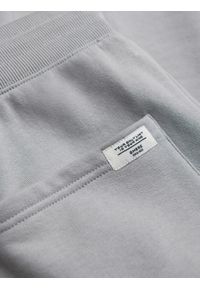 Ombre Clothing - Męskie dresowe spodnie z nogawką bez ściągacza - szare V8. Kolor: szary. Materiał: dresówka. Wzór: aplikacja. Styl: klasyczny, sportowy #4