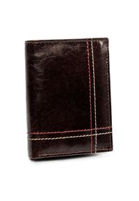 ALWAYS WILD - Portfel męski brązowy Always Wild N20191-VTK-D BROWN. Kolor: brązowy. Materiał: skóra