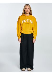 Big-Star - Bluza damska z kapturem z logo BIG STAR żółta Rubialsa 203. Okazja: na spacer, na uczelnię. Typ kołnierza: kaptur. Kolor: złoty. Materiał: jeans, dzianina. Wzór: aplikacja. Styl: elegancki, klasyczny #3
