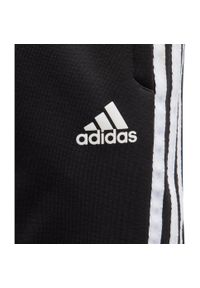 Adidas Szorty Yb Sid Di0207. Kolor: czarny